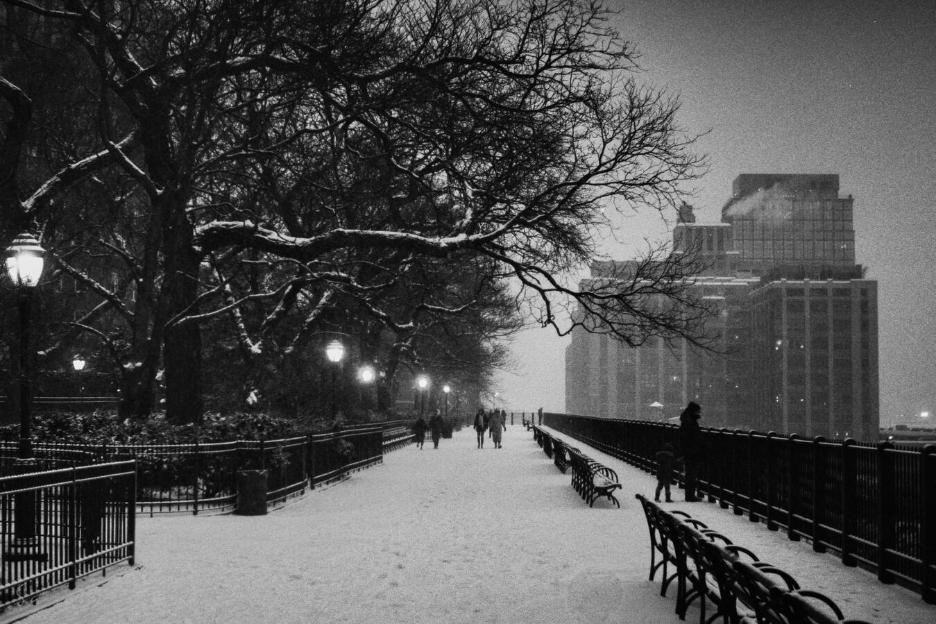 New York, 2020 (35mm)